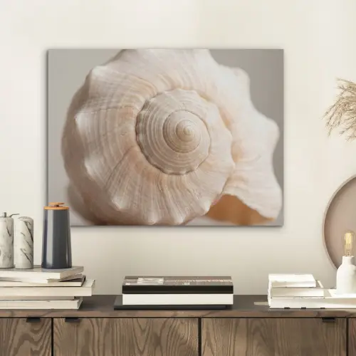 Schelp - Detail - Beige PET vilt klein -sfeer1