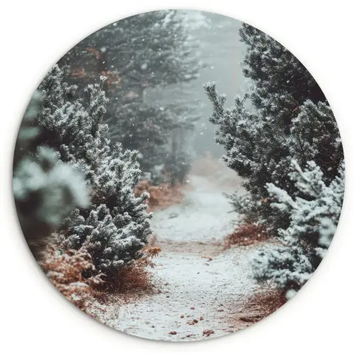 Bos - Winter - Bomen - Natuur - Pad - Sneeuw Wandcirkel kunststof plaat 5mm dik klein -3d