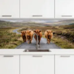 Schotse Hooglanders - Weg - Landschap - Kudde keuken achterwand 2 middel -3d