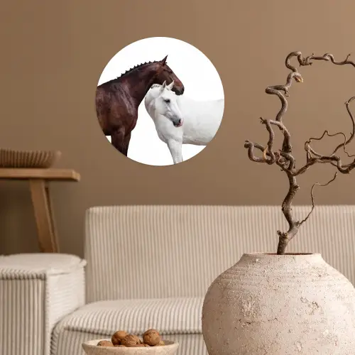 Paard - Modern - Balans Wandcirkel behangsticker klein -sfeer1