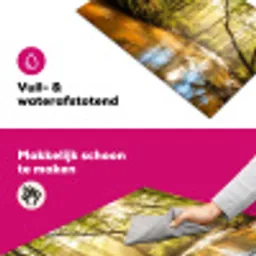 Bos - Beek - Zonlicht - Natuur - Groen Inductie beschermer vinyl 3mm klein -wsfeer6_website