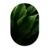 Bladeren - Schaduw - Groen - Textuur Wandcirkel Ovaal Forex klein -3d