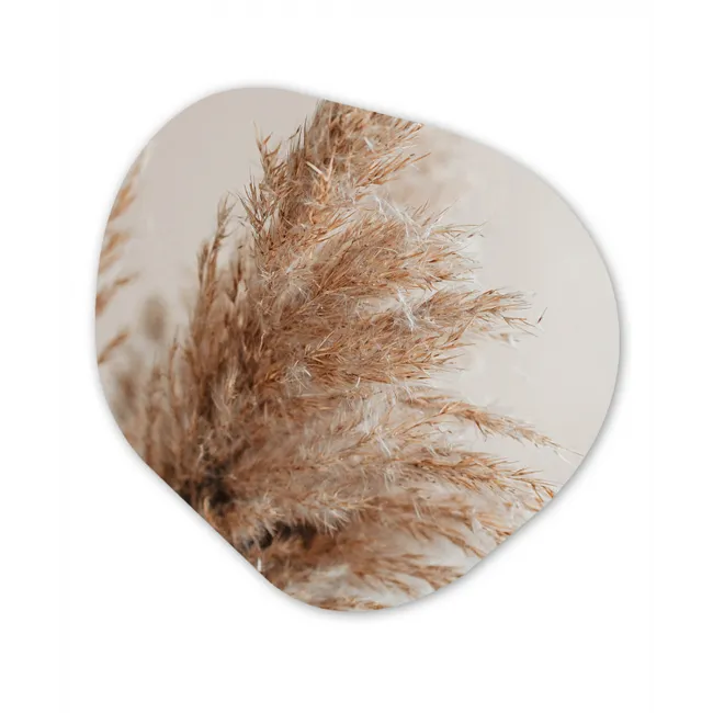 Organisch schilderij forex - Gras - Planten - Natuur - Pampasgras