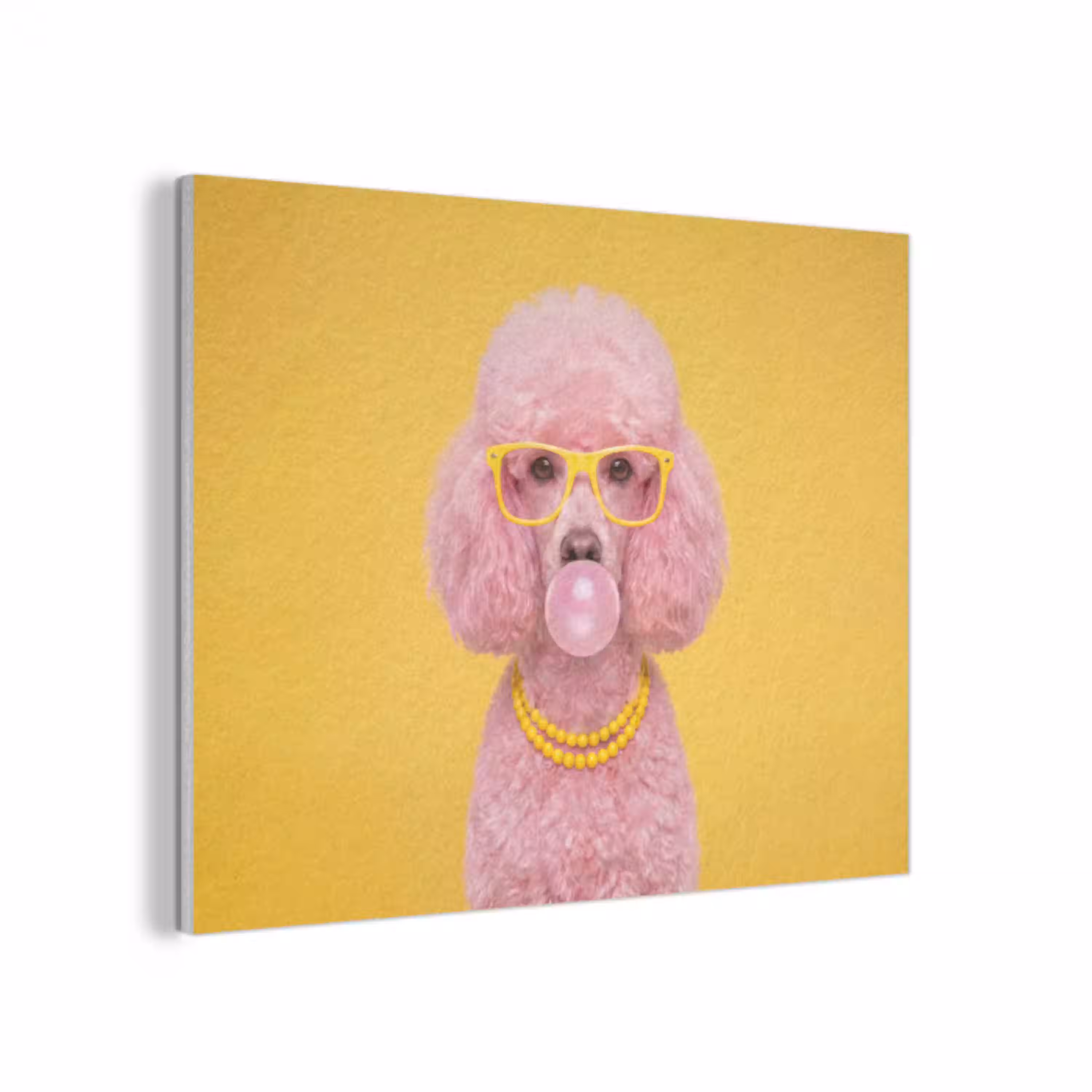 Hond - Kauwgum - Dieren - Modern - Roze PET vilt klein -3d