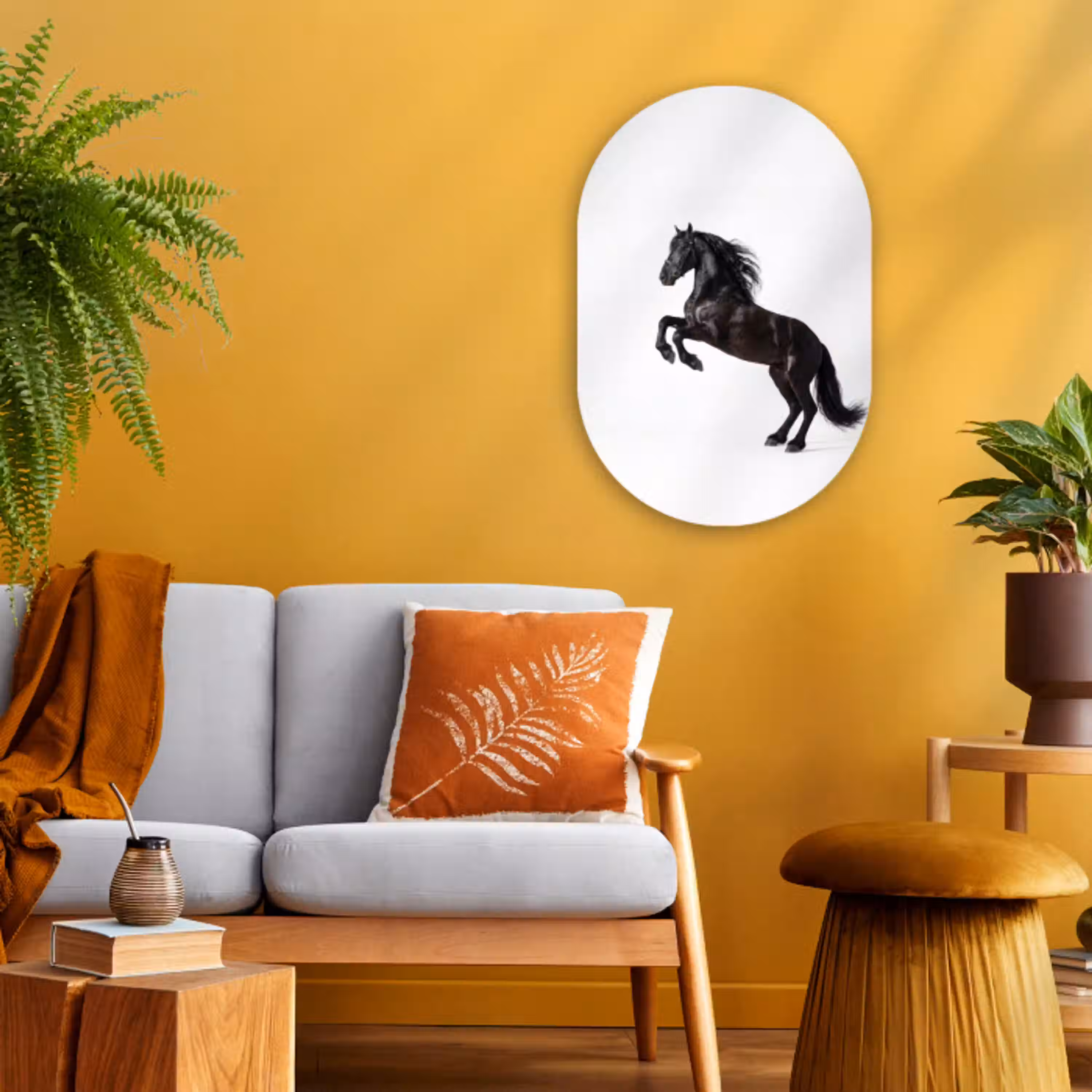 Zwart - Paard - Portret Wandcirkel Ovaal Forex klein -sfeer4