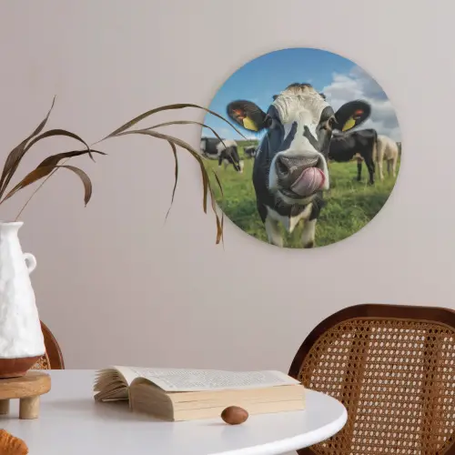 Koe - Tong - Weide Akoestische PET Vilt - Rond klein -sfeer3