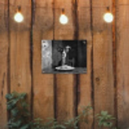 Geit - Bord - Spaghetti - Zwart Wit tuinposter los doek klein -sfeer1