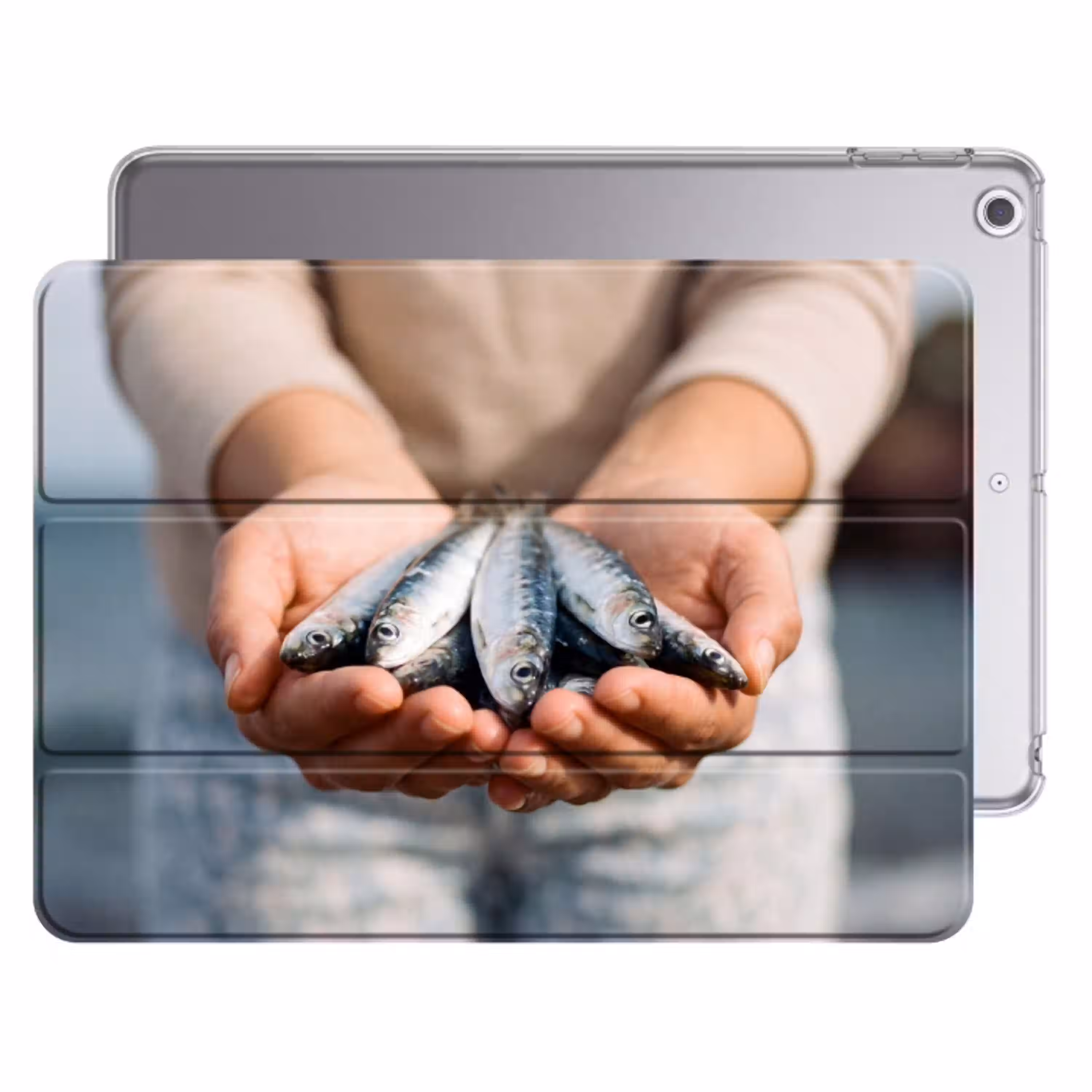 Vis - Handen - Natuur Apple iPad 2017 middel -threedimensional_3d_global