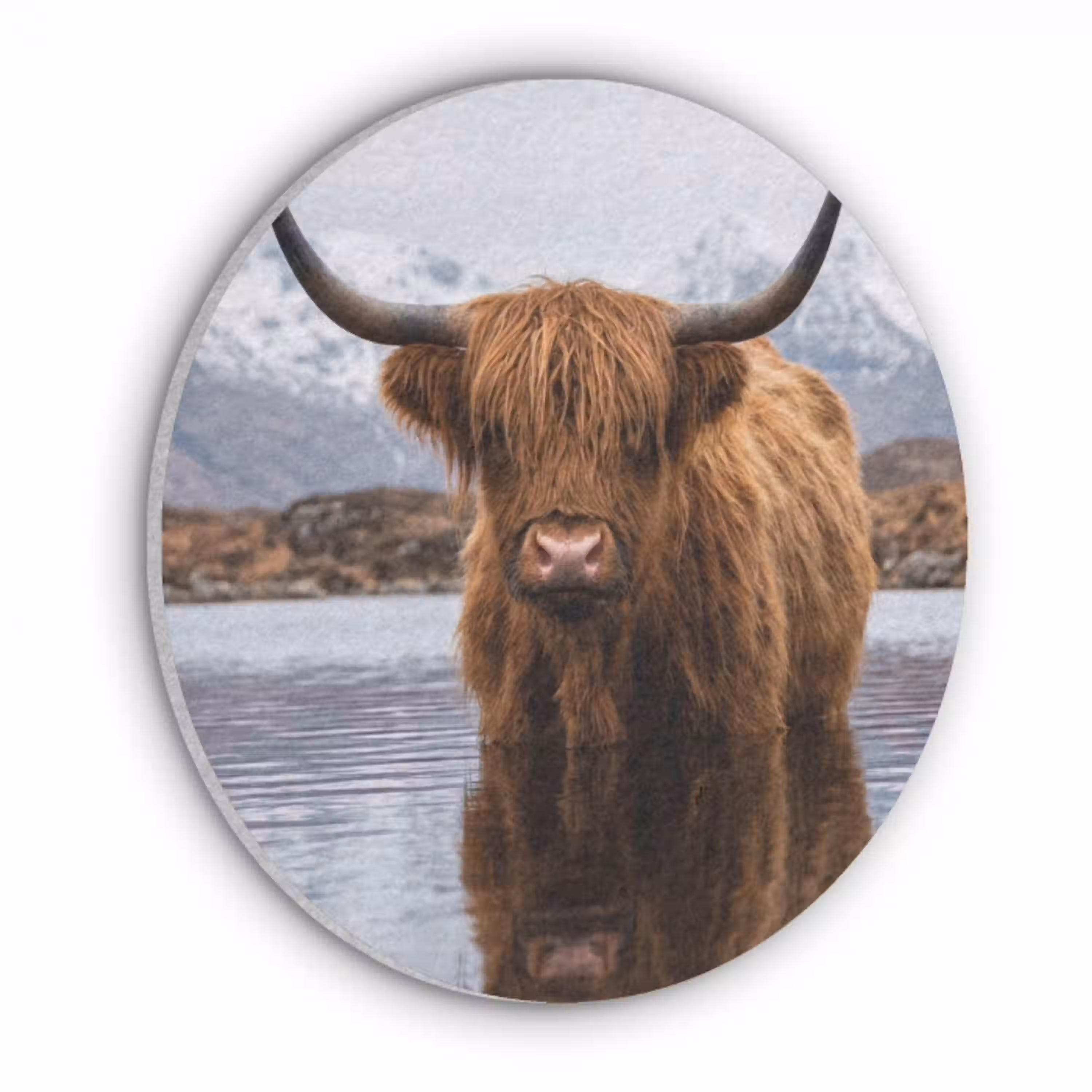 Schotse hooglander - Bruin - Water Akoestische PET Vilt - Rond klein -3d
