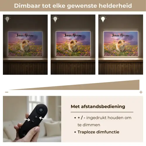 Cavia - Kleurrijk - Bloemen Light Box met batterij (Wandlamp kind) middel -USP_dimbaarNL