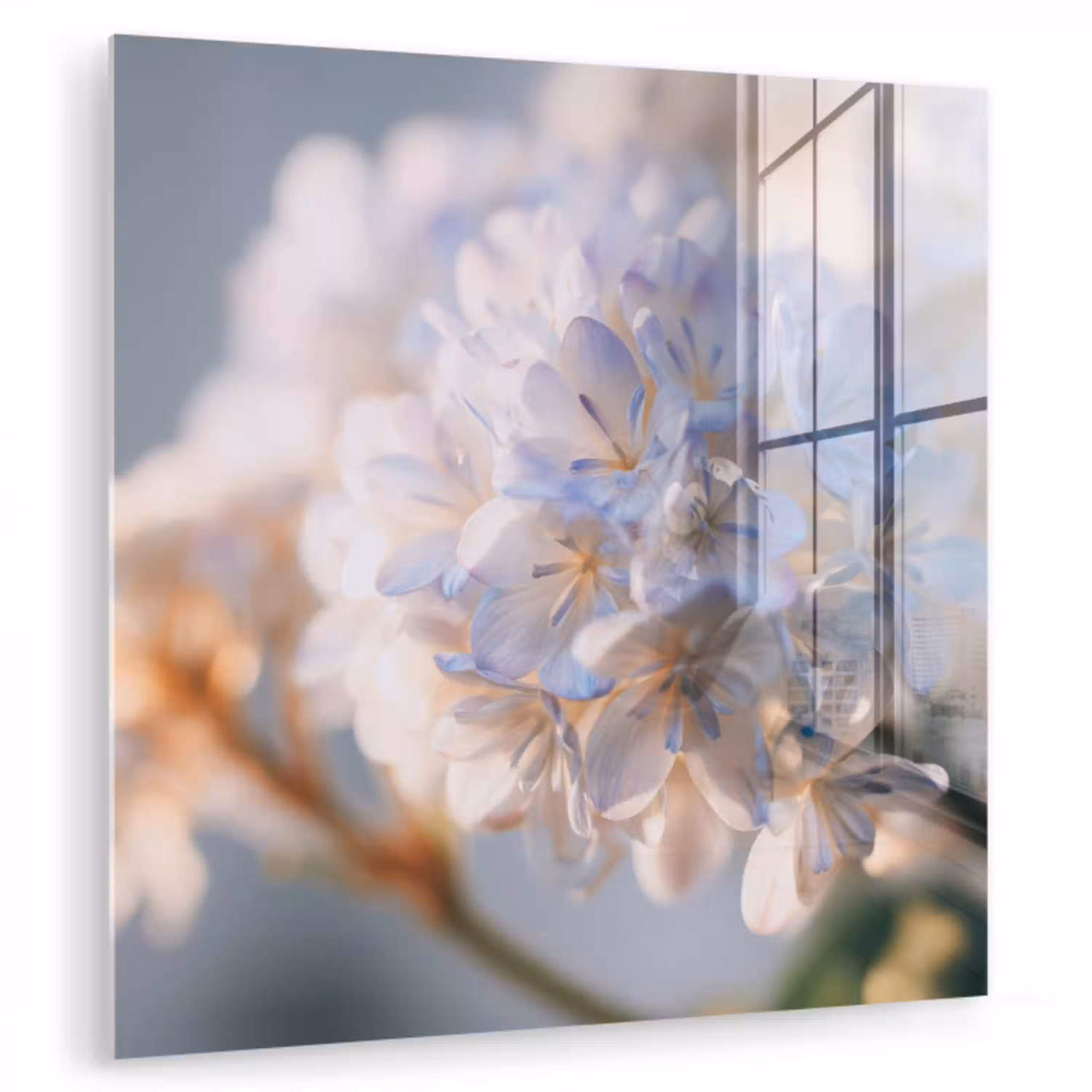 Bloemen - Lichtblauw - Wazig - Trosje plexiglas 5mm klein -zzzproduct_nieuw