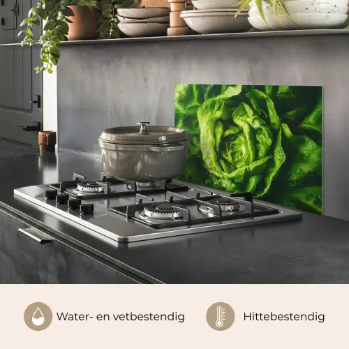 Groente - Sla - Groen keuken achterwand spatscherm klein -usp_NL