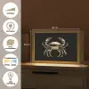 Goud - Krab - Dieren - Zwart Light Box met kabel (Tafellamp) klein -USP_websiteoverzichtNL
