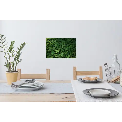 Groen - Bladeren - Kartel - Zonlicht Muursticker klein -eettafel