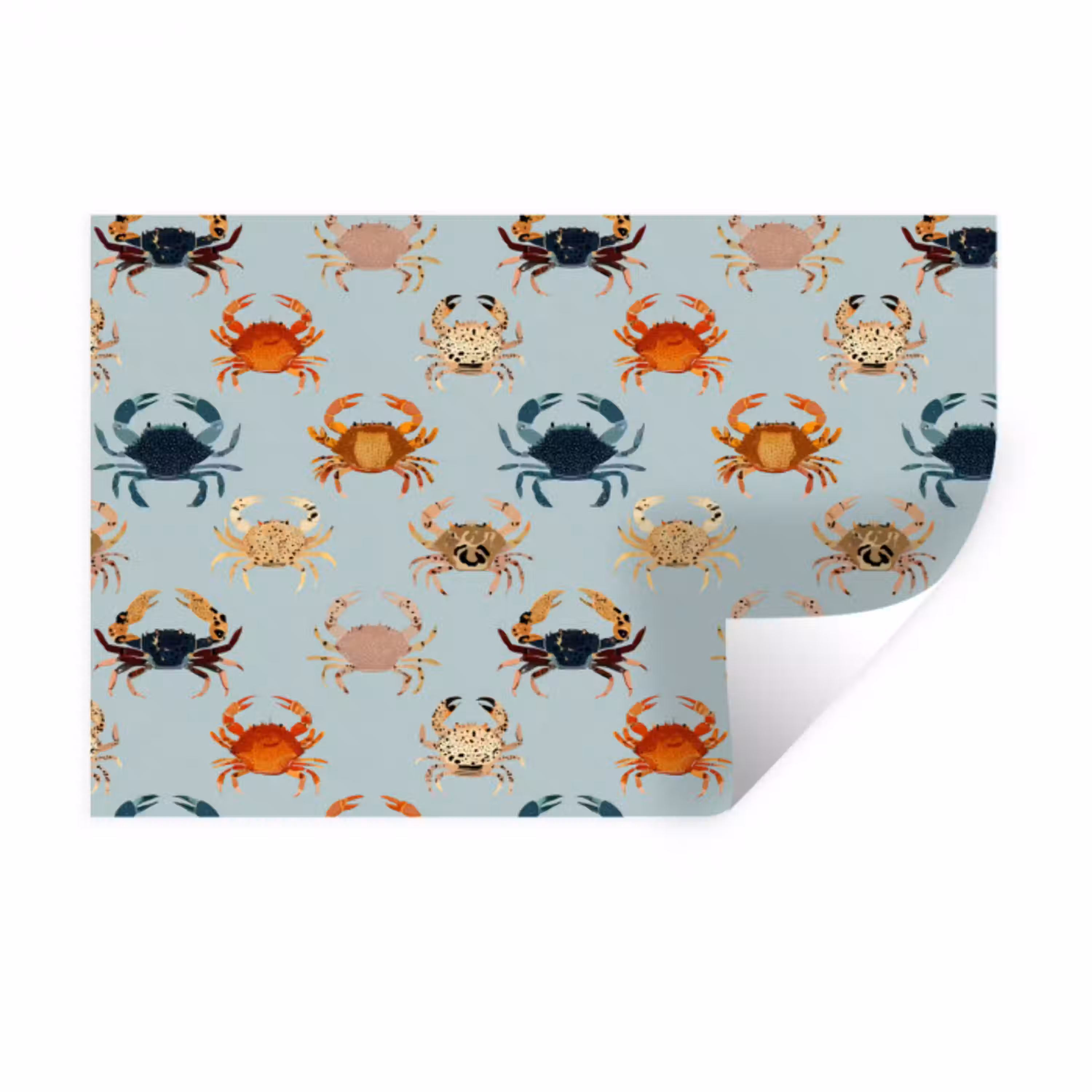 Krabben - Speels - Kleurrijk Muursticker klein 286 -3d