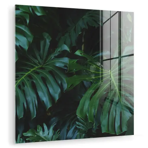 Monstera - Bladeren - Tropisch - Jungle plexiglas 5mm klein -zzzproduct_nieuw