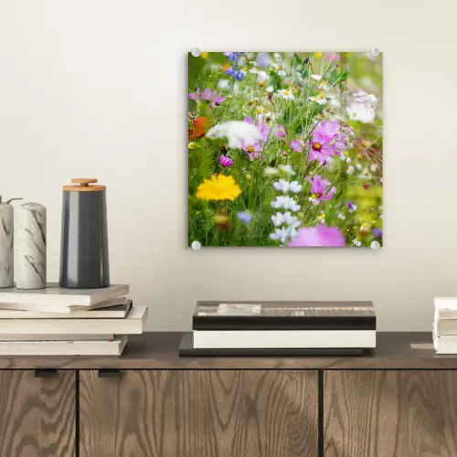 Bloemen - Natuur - Groen - Gras - Paars - Wit plexiglas 5mm klein -sfeer1
