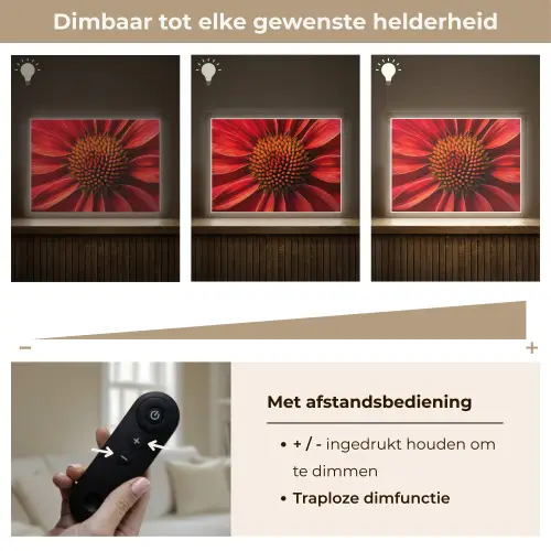 Close up - Bloem- Rood Light Box met batterij (Wandlamp) middel -USP_dimbaarNL