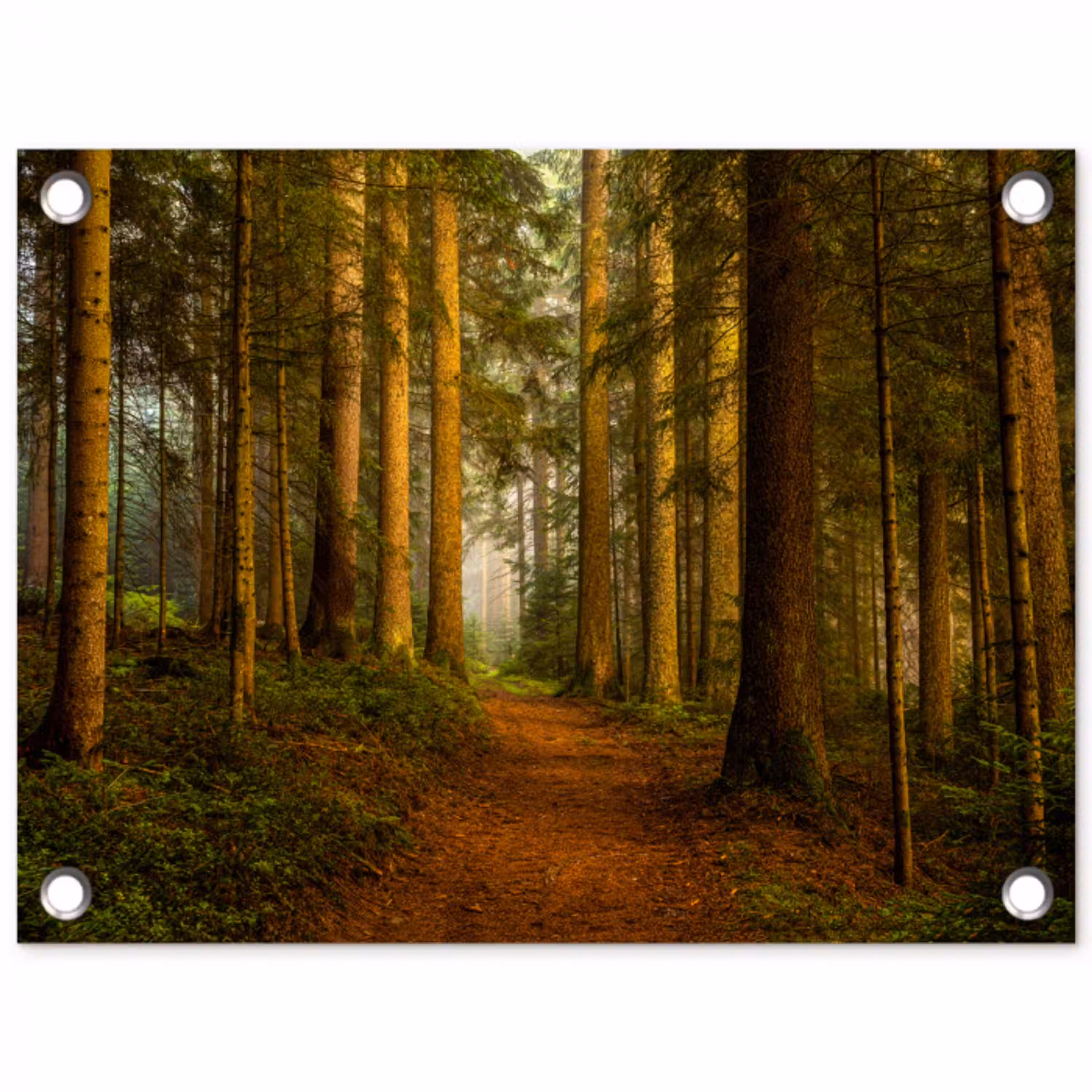 Pad door majestueus dennenbos tuinposter los doek klein -3d