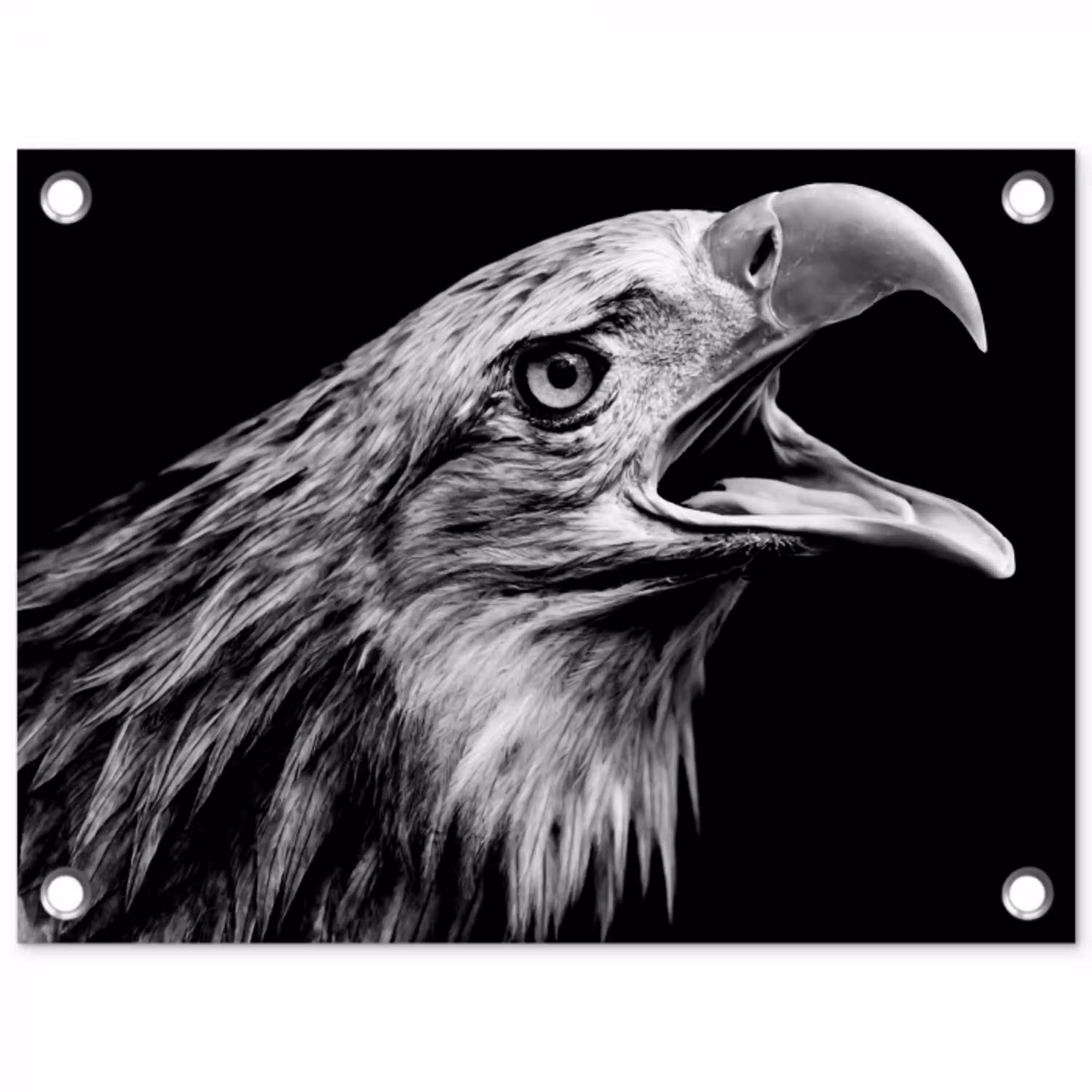 Adelaar - Portret - Roofvogels - Zwart - Wit - Vogel tuinposter los doek klein -3d