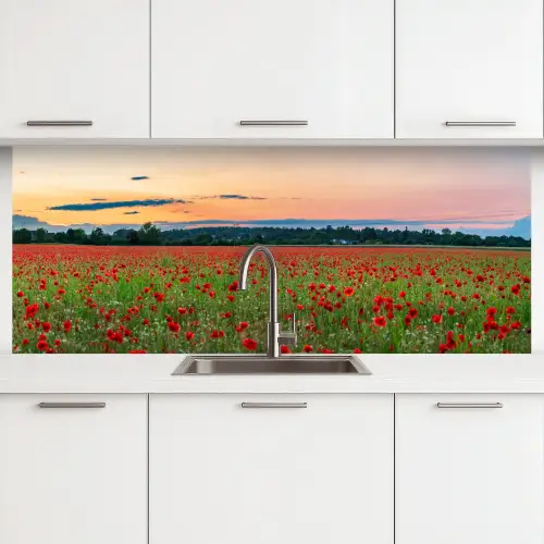 Klaprozen - Landschap - Rood - Bloemen keuken achterwand 2 middel -3d