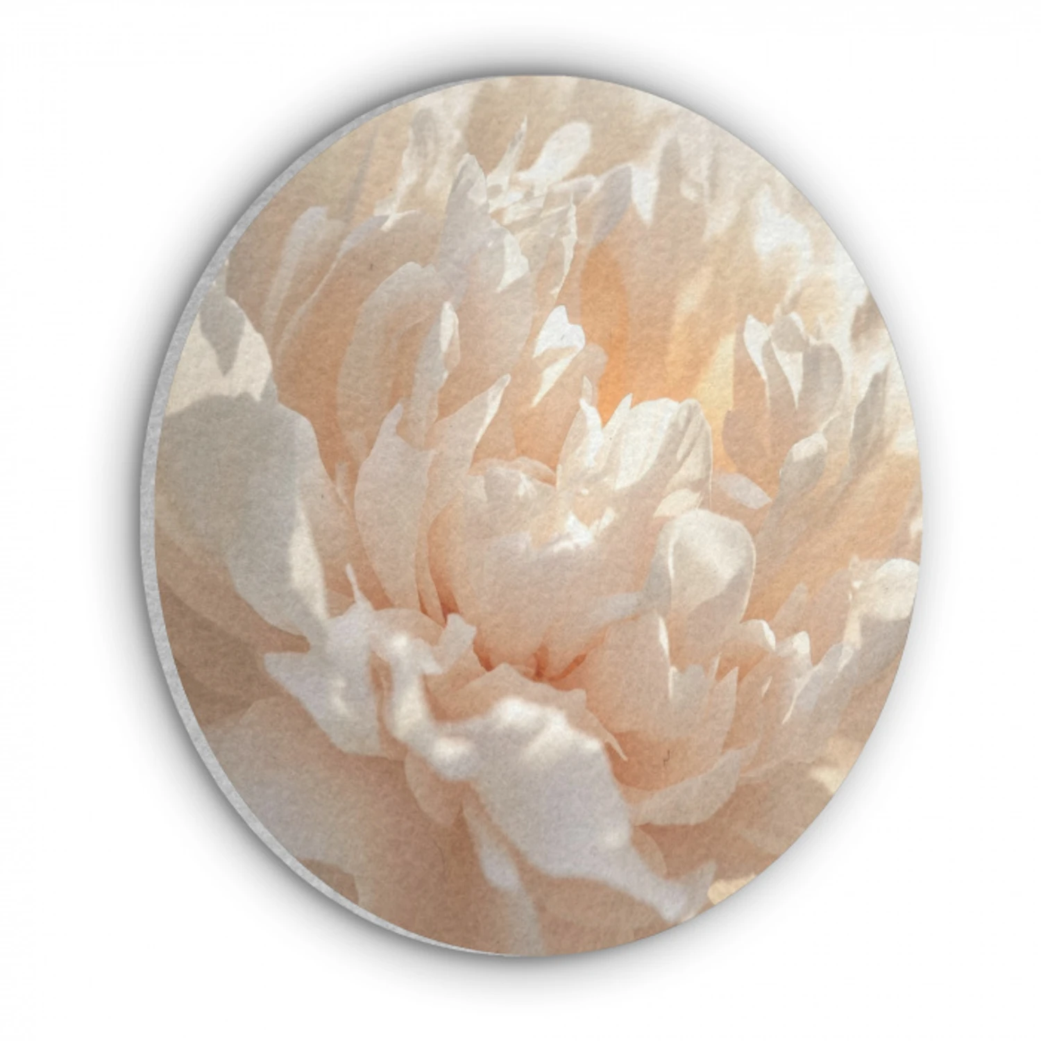 Close up - Pioenroos - Lichtroze Akoestische PET Vilt - Rond klein -3d