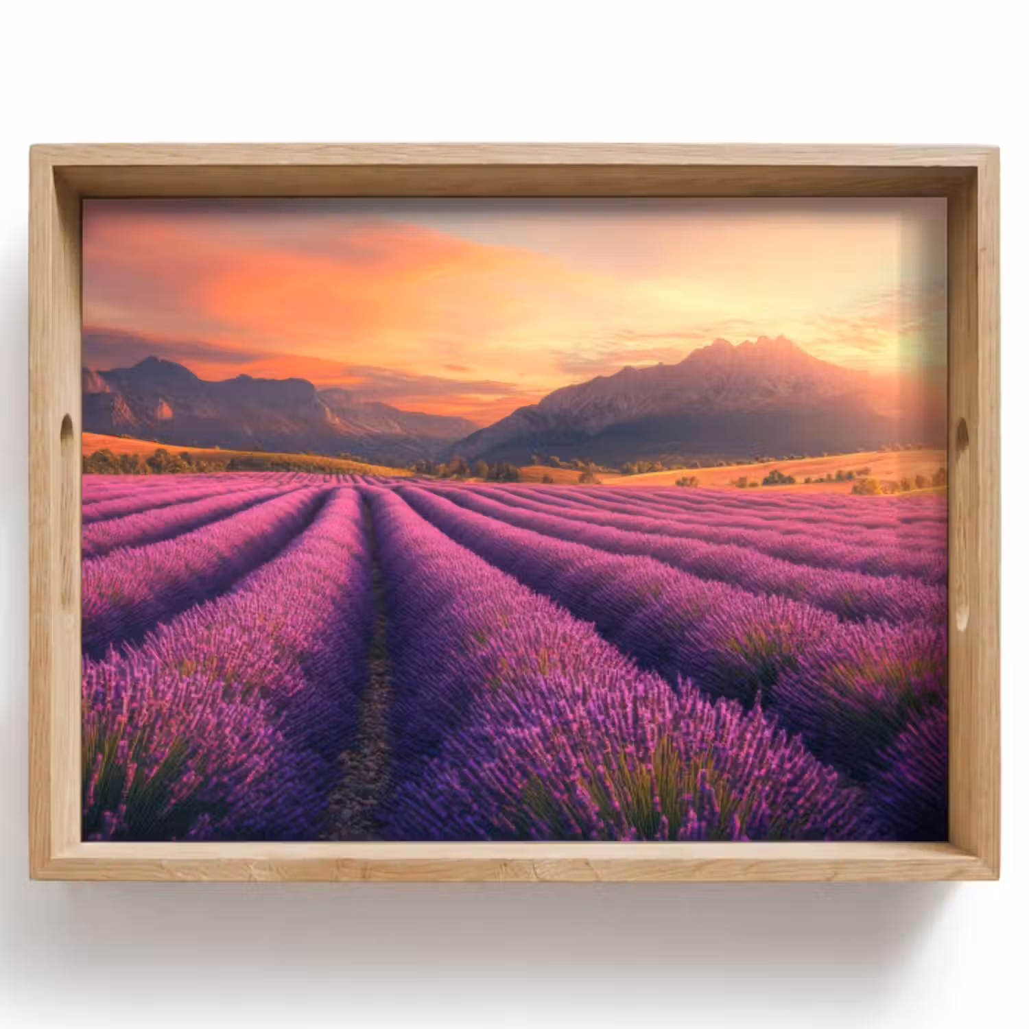 Tablett - Lavendelfeld - Sonnenuntergang - Lila