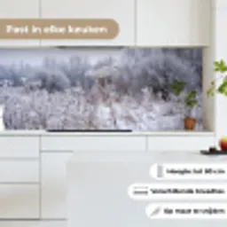 Schermbloem - Rijp - Kristallen - Winter - Delicaat keuken achterwand 2 middel -sfeer4_NL