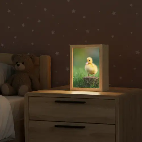 Kuiken - Eend - Geel - Gras Light Box met kabel klein -sfeer1_kind