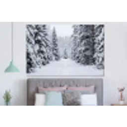 Bos - Winter - Sneeuw - Pad - Natuur forex 5mm xxl -slaapkamer