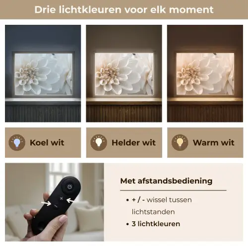Bloemen - Wit - Natuur Light Box met batterij (Wandlamp) middel -USP_lichtkleurNL