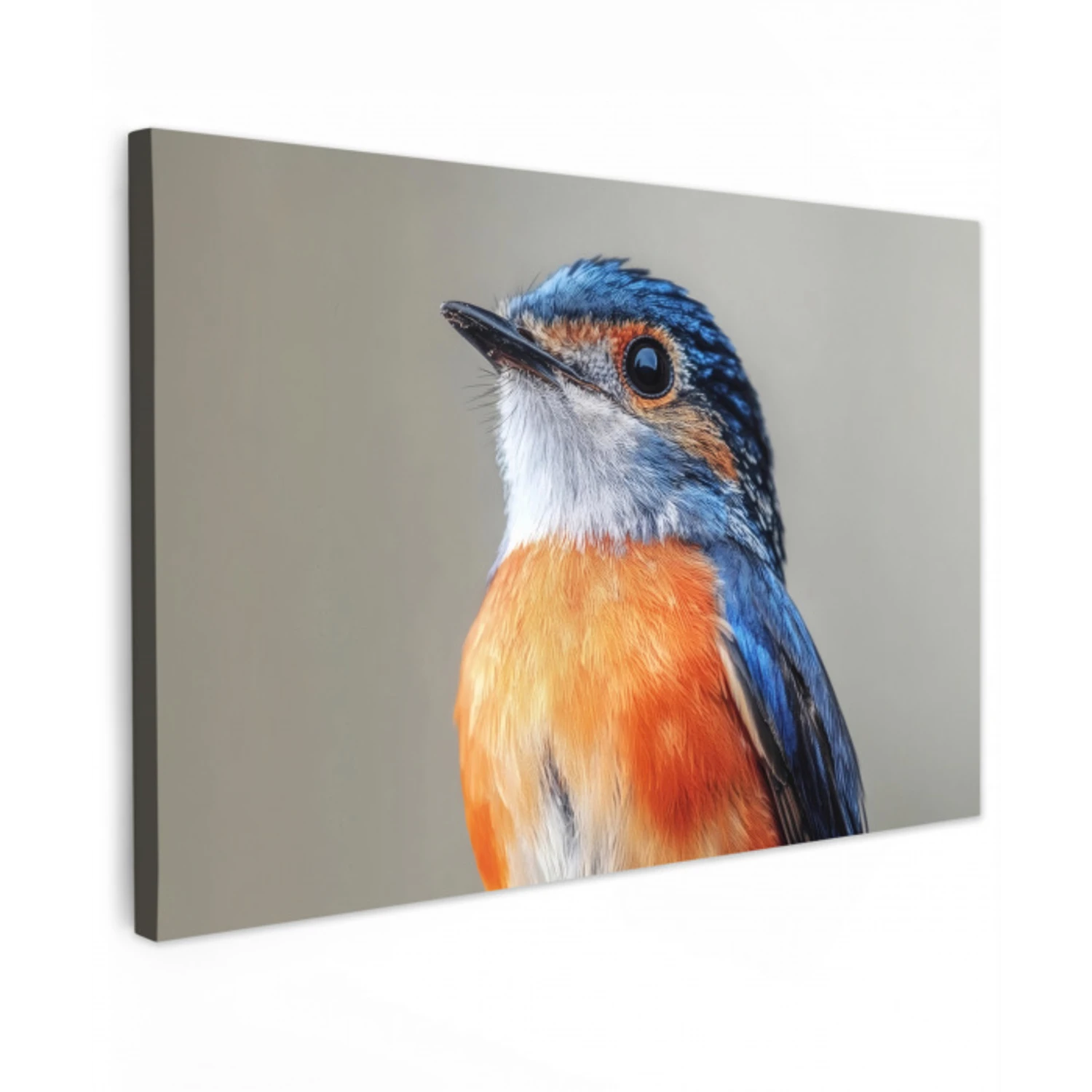 Kleurrijk - Vogeltje - Veren - Blauw canvas 2cm klein -z3d