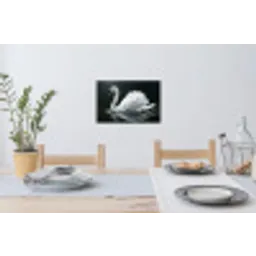 Zwaan - Water - Natuur - Realistisch - Wit Muursticker klein -eettafel