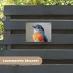 Kleurrijk - Vogeltje - Veren - Blauw tuinposter los doek klein -sfeer3