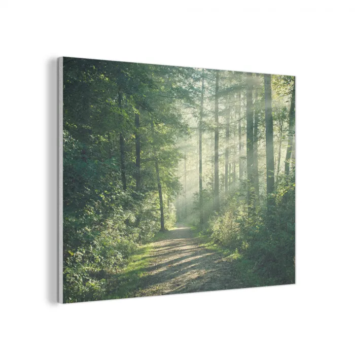 Bos - Pad - Zon - Bomen - Groen - Natuur PET vilt klein -3d