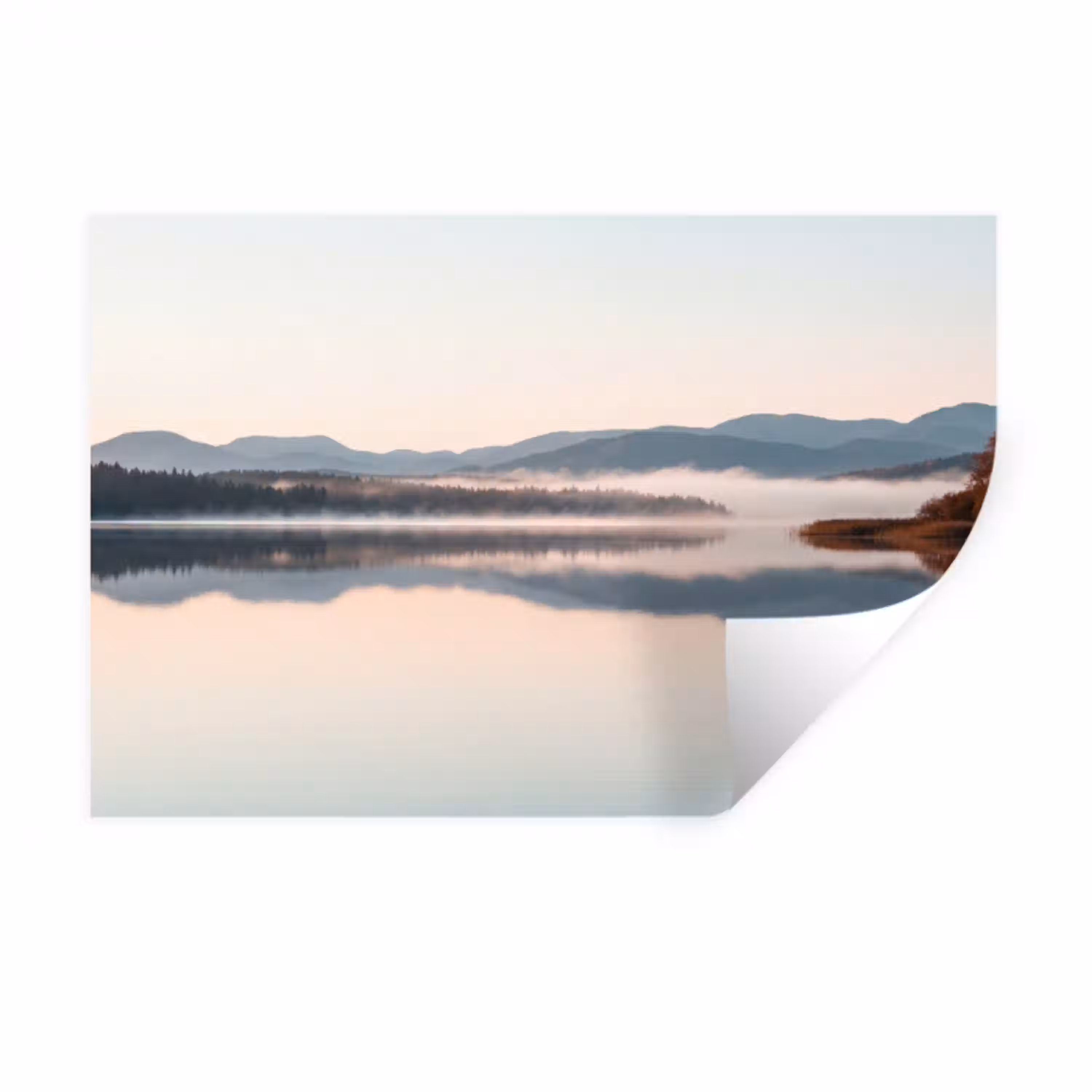 Water - Bomen - Mistlaag Muursticker klein -3d