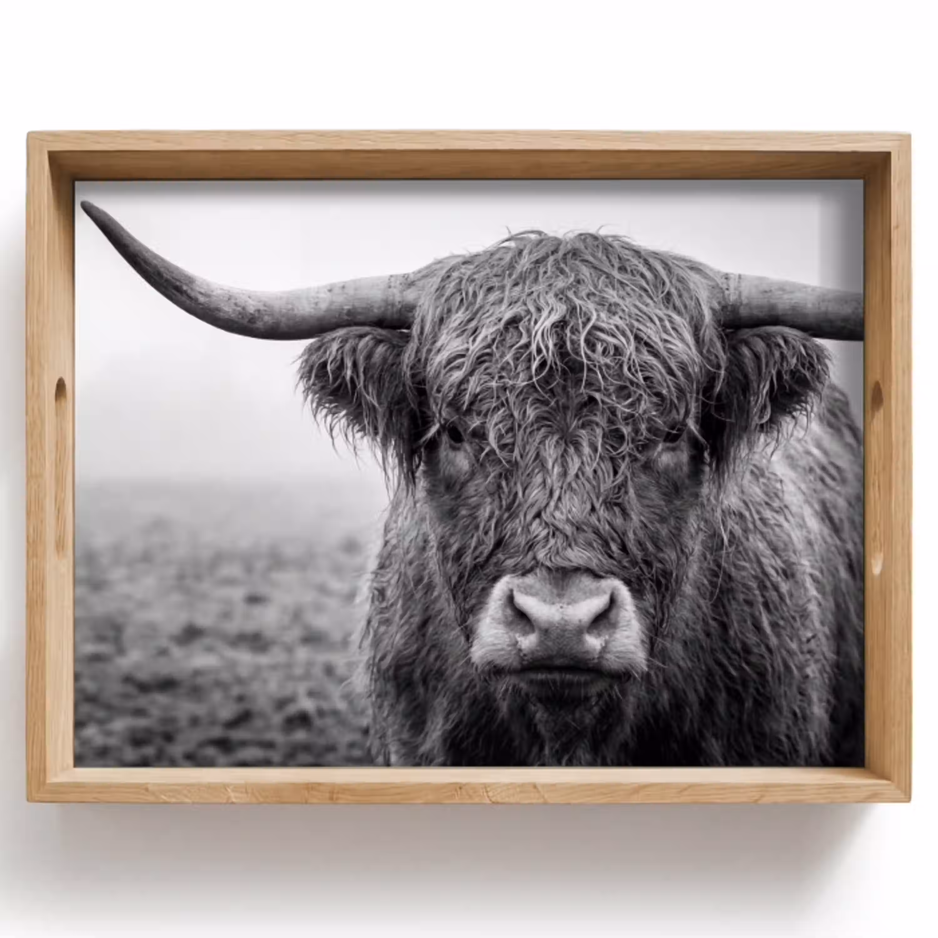 Schotse hooglander - Zwart - Wit - Gras Dienblad Rechthoek middel -z3d_shopping