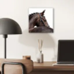 Portret - Paard - Elegant aluminium wit klein -sfeer5