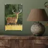 Hert - Gewei - Gras - Natuur - Dieren - Groen plexiglas 5mm klein -sfeer3