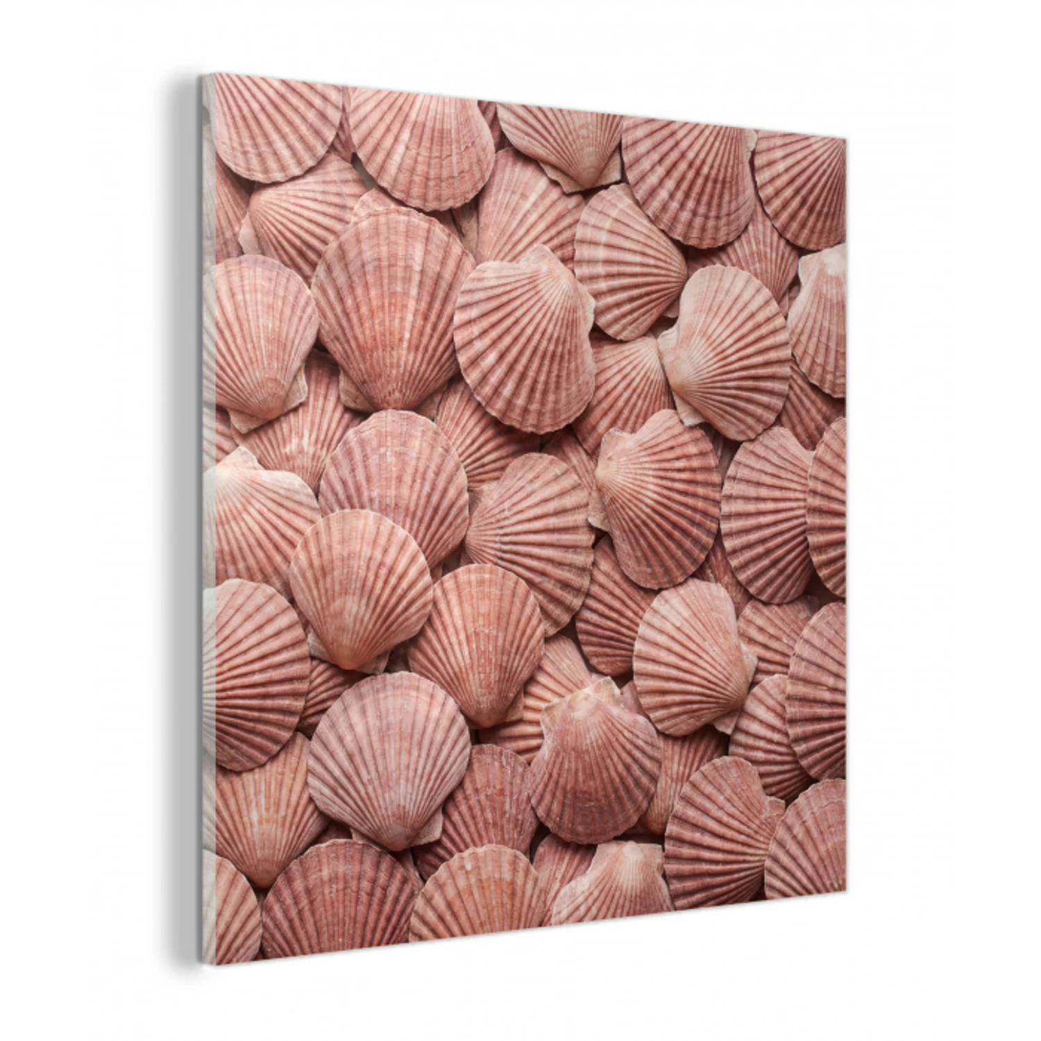 Schelpen - Patroon - Roze plexiglas 5mm klein -z3d