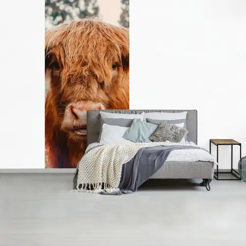 Koe- Schotse hooglander - Hoorns - Bruin - Landschap fotobehang vinyl groot -slaapkamer