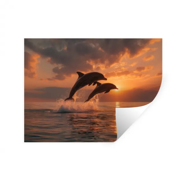 Wall Sticker - Dolphins - Sea - Realistic