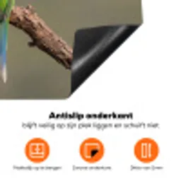 Papagaai - Tak - Natuur - Kleurrijk Inductie beschermer vinyl 3mm klein -zzzzzzz-td-onderkant