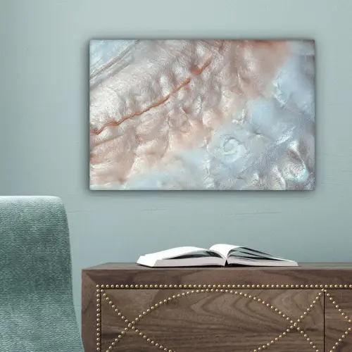 Schelpen - Abstract - Natuur canvas 2cm klein -sfeer4