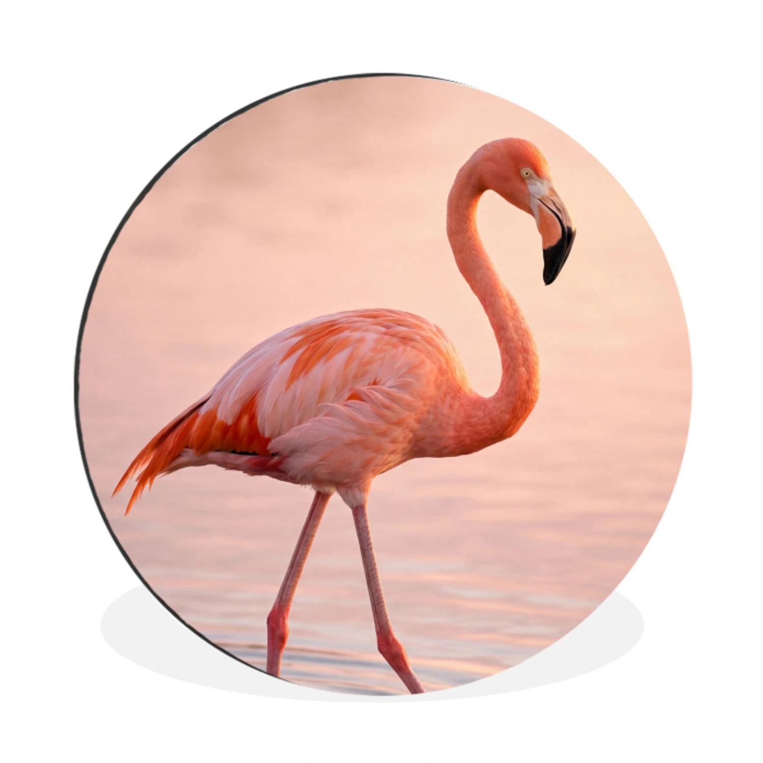 Flamingo - Water - Roze Wandcirkel aluminium klein -3d