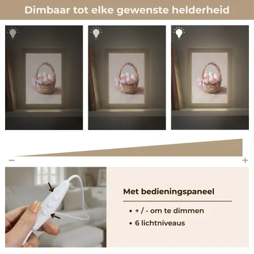 Mand - Eieren - Roze Light Box met kabel (Tafellamp) klein -USP_dimbaarNL