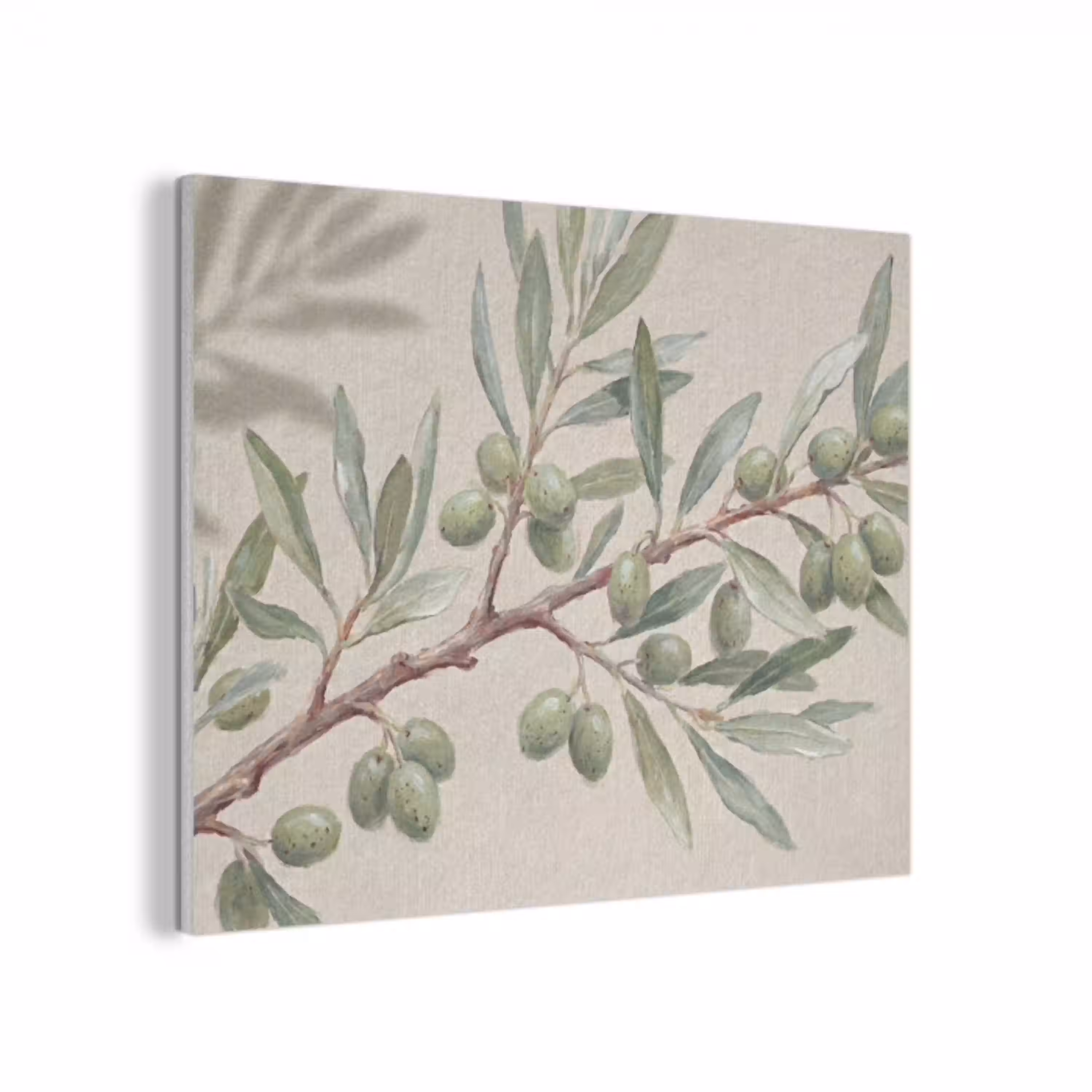 Olijftak - Bladeren - Natuur - Groen - Beige PET vilt klein -3d