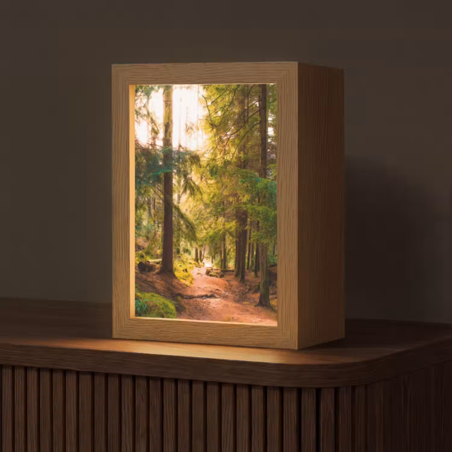 Tischlampe - Wald - Weg - Bäume - Grün - Sonne - Natur