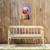 Papegaai - Koksmuts - Nieuwsgierig - Vogel Tuinposter op houten frame 2 cm dik klein -sfeer4