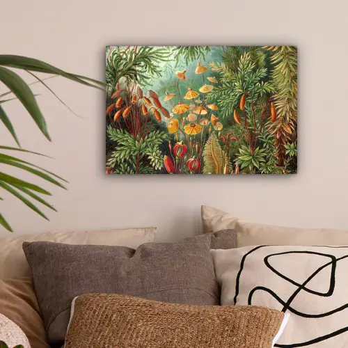 Design - Natuur - Paddenstoelen - Ernst Haeckel canvas 2cm klein -sfeer1